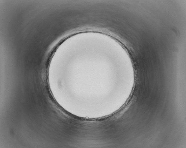 X0000110321502200907021150