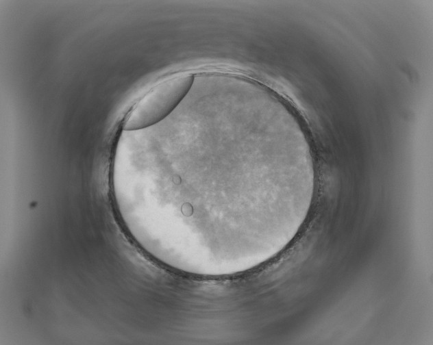 X0000110321504200907021150