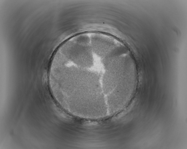 X0000110321505200907021150