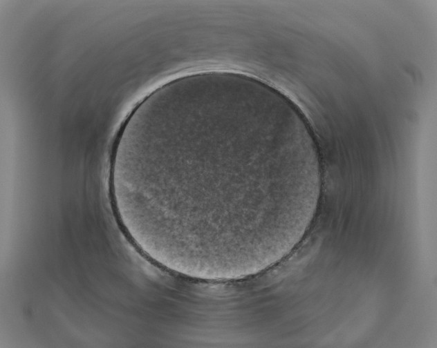 X0000110321508200907021150