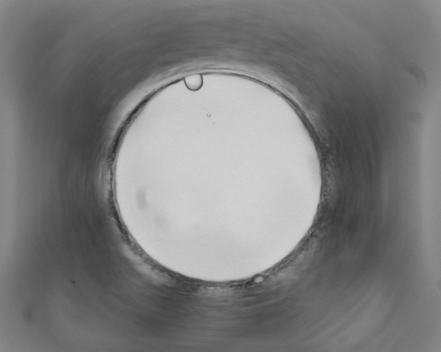 X0000110321511200907021150