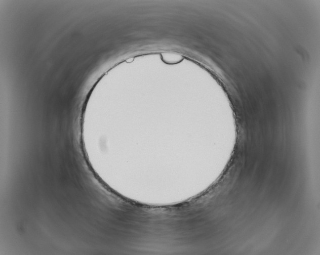 X0000110321512200907021150