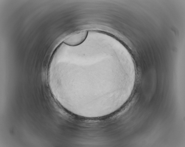 X0000110321513200907021150