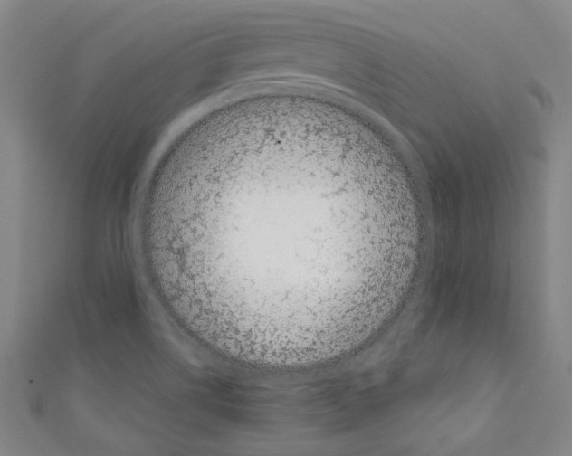 X0000110321514200907021150