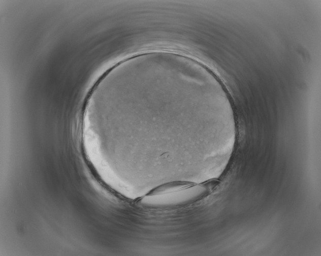 X0000110321515200907021150