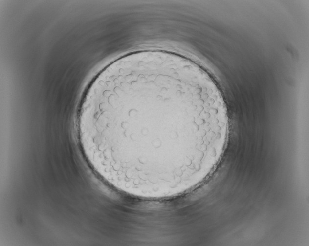 X0000110321517200907021150