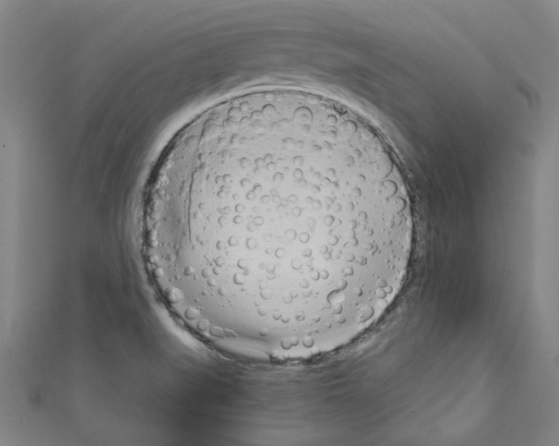 X0000110321519200907021150