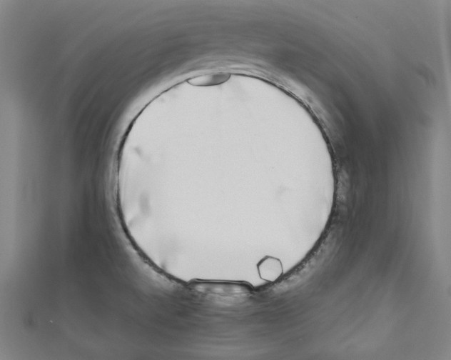 X0000110321520200907021150