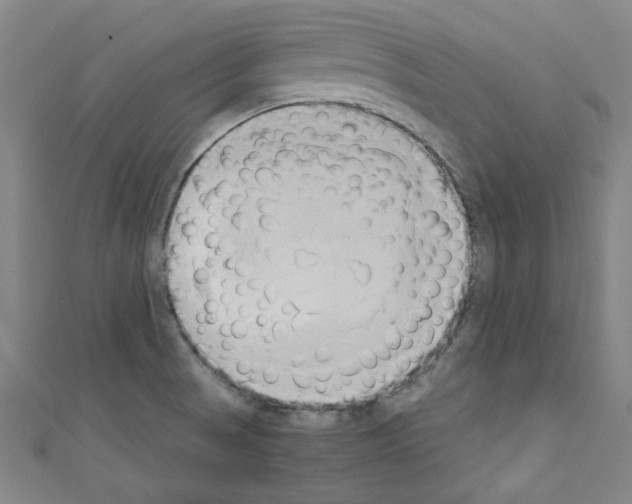 X0000110321521200907021150