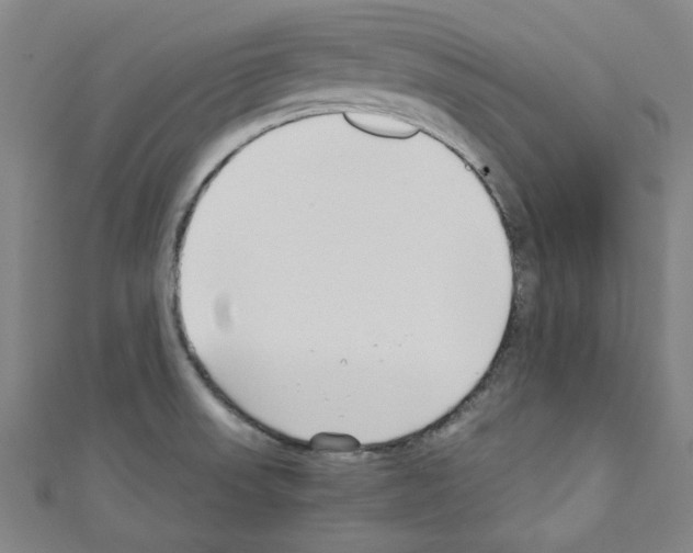 X0000110321523200907021150