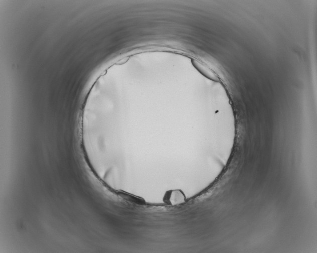 X0000110321524200907021150