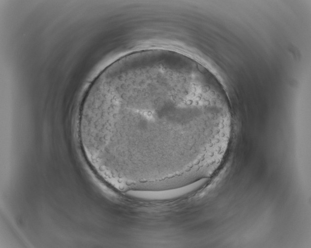 X0000110321525200907021151