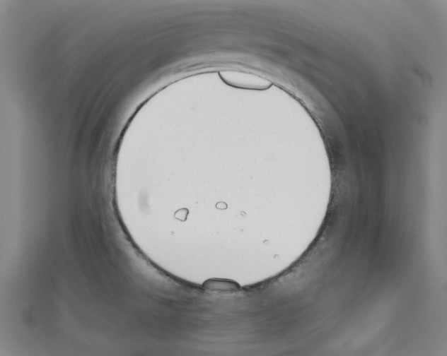 X0000110321526200907021151