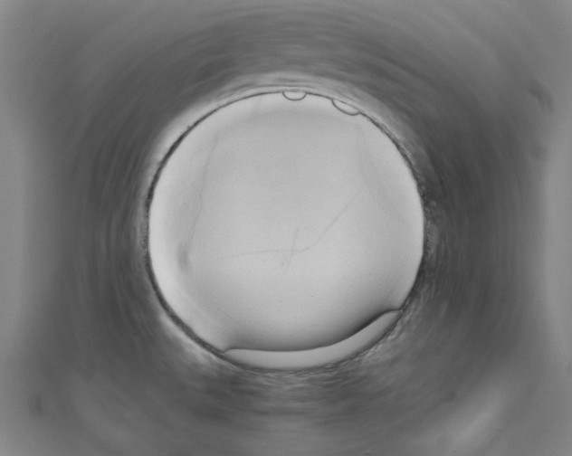 X0000110321527200907021151