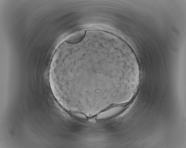 X0000110321529200907021151