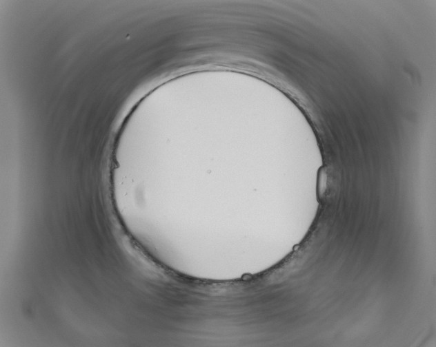 X0000110321530200907021151