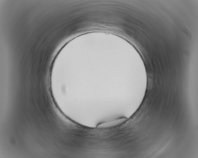 X0000110321531200907021151