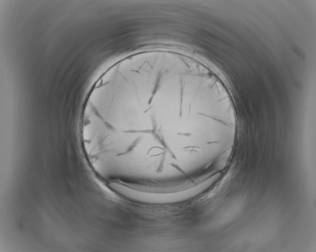 X0000110321533200907021151