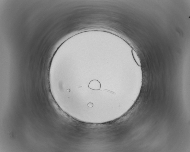 X0000110321534200907021151