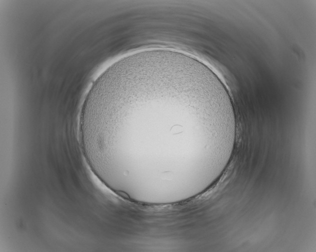 X0000110321535200907021151