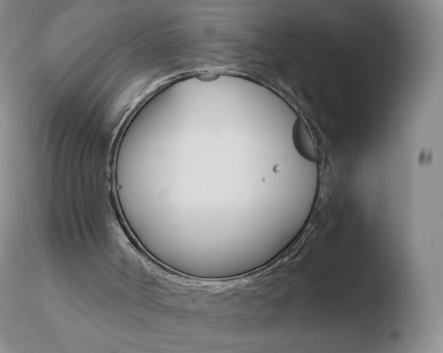 X0000110670002200906121113