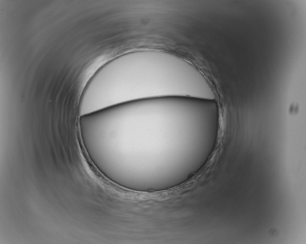 X0000110670003200906121113