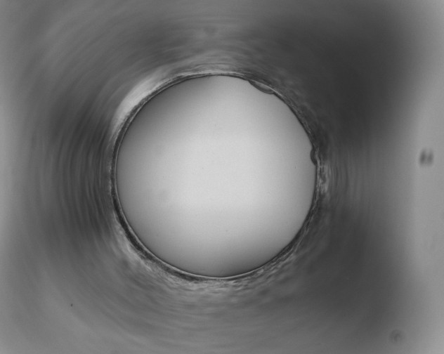 X0000110670004200906121113