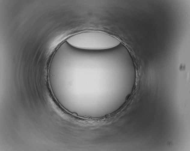 X0000110670005200906121113