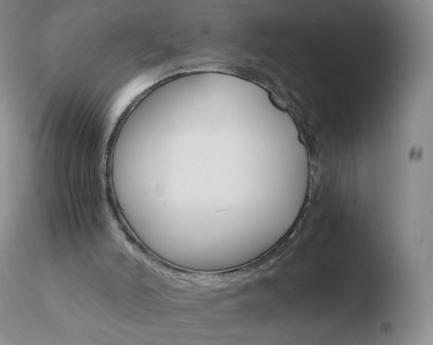 X0000110670006200906121113