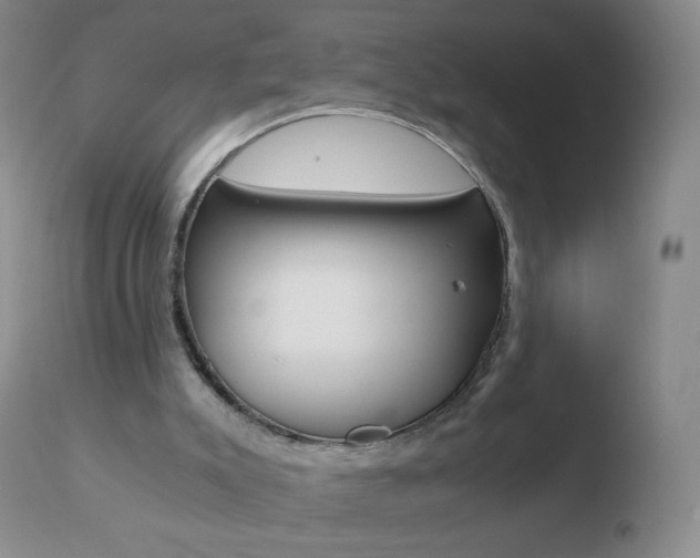 X0000110670007200906121113