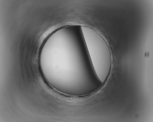 X0000110670008200906121113