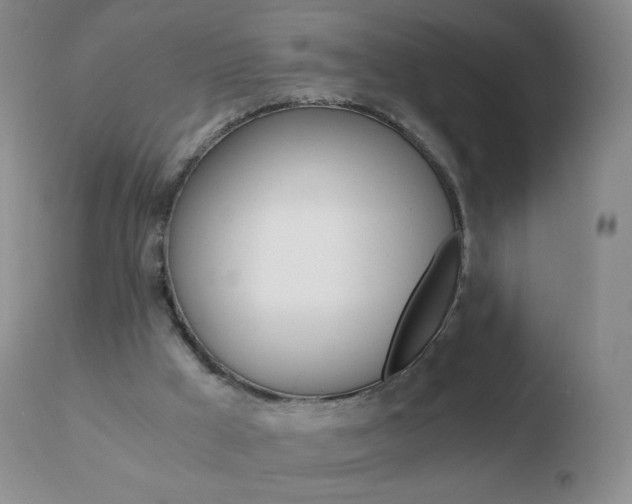 X0000110670009200906121113
