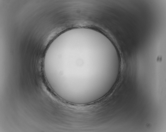 X0000110670010200906121113
