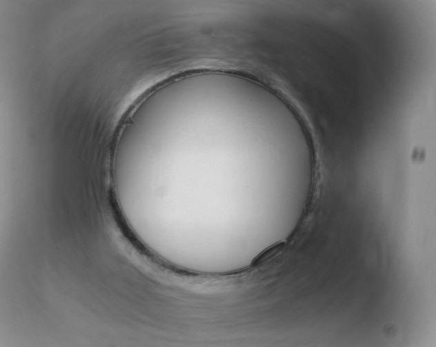 X0000110670011200906121113
