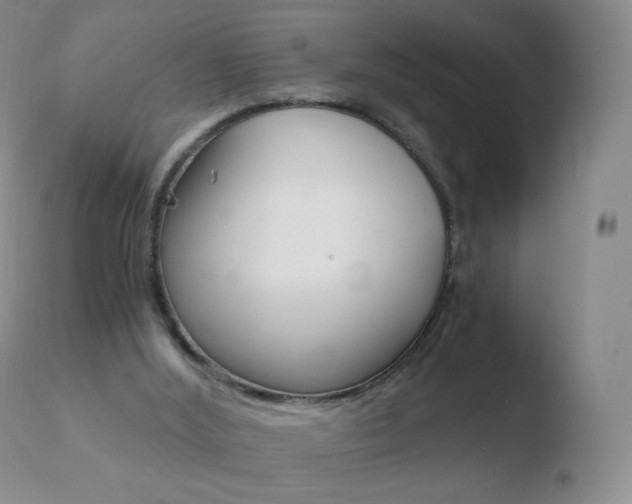 X0000110670012200906121113