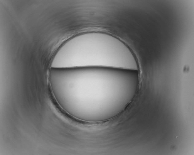 X0000110670013200906121113