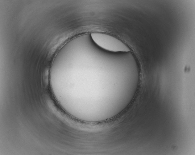X0000110670014200906121113