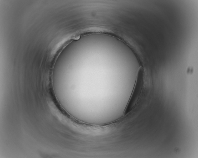 X0000110670015200906121113