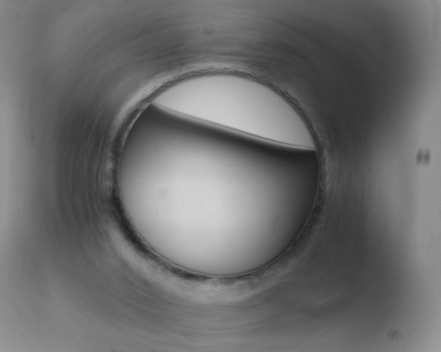 X0000110670016200906121113