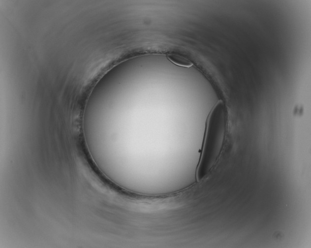 X0000110670017200906121113