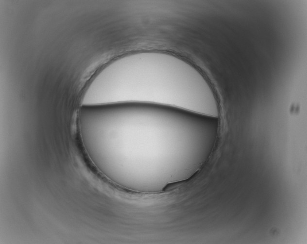 X0000110670019200906121113