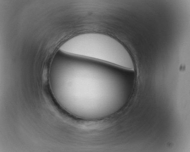 X0000110670021200906121113