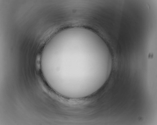X0000110670022200906121113