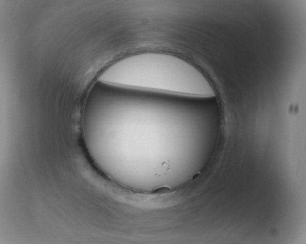 X0000110670023200906121113