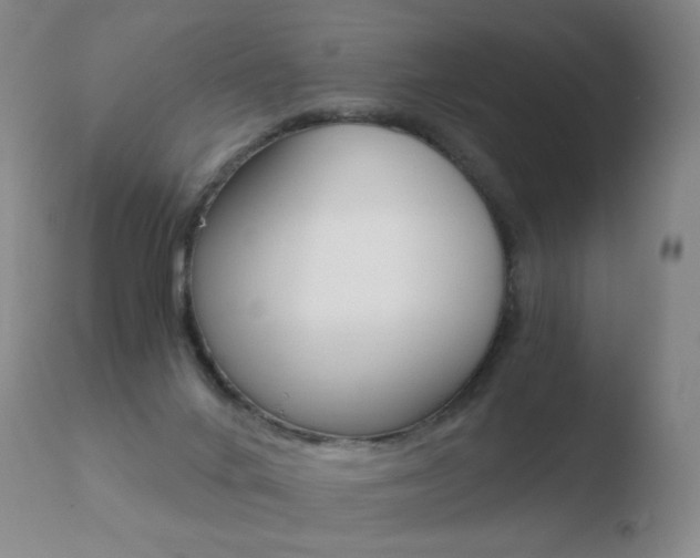 X0000110670024200906121113