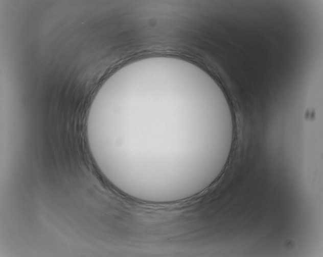X0000110670025200906121113