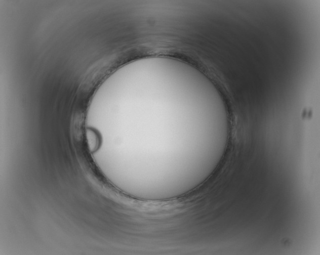 X0000110670026200906121113