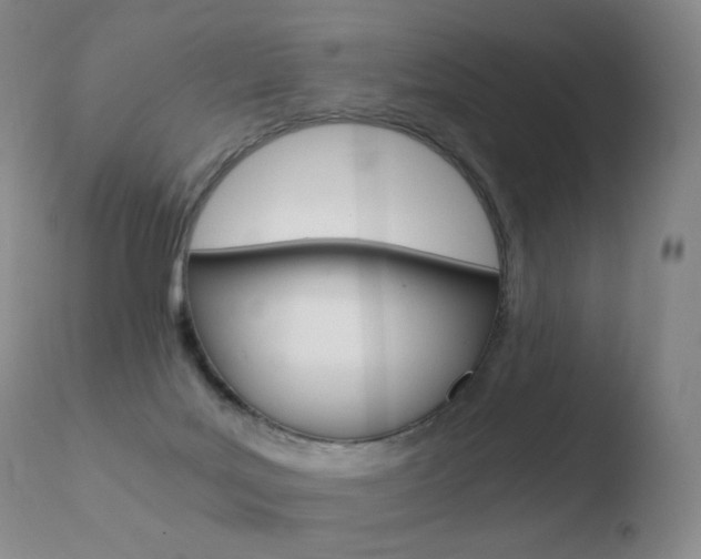 X0000110670027200906121113
