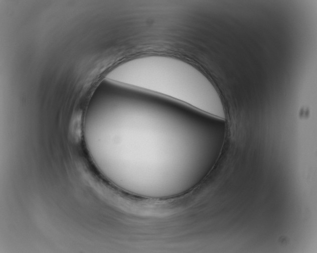 X0000110670028200906121113