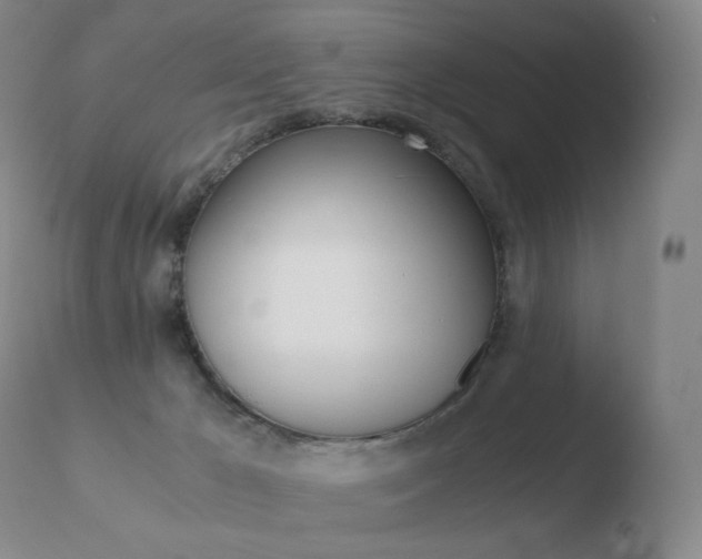 X0000110670029200906121113
